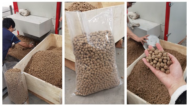 dry type catfish feed machine in Ghana